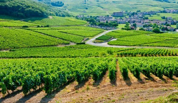 Landschaft im Burgund